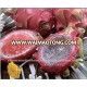 Frozen Shell-on Dragon Fruit